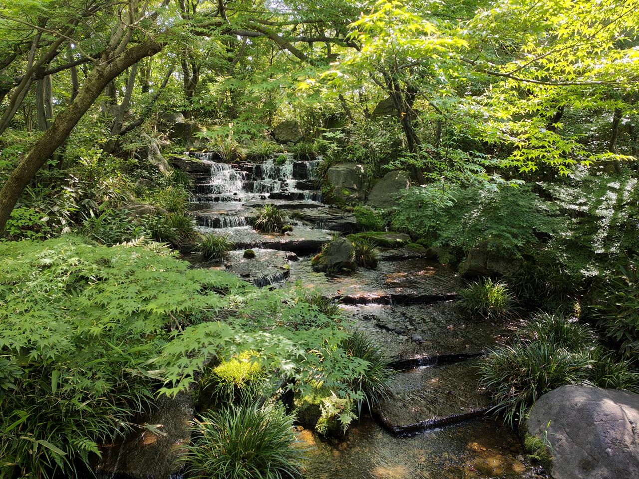 Koko-en Garden — photo 6